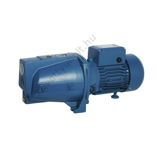 Aquastrong EJWm 180/42 kerti szivattyú