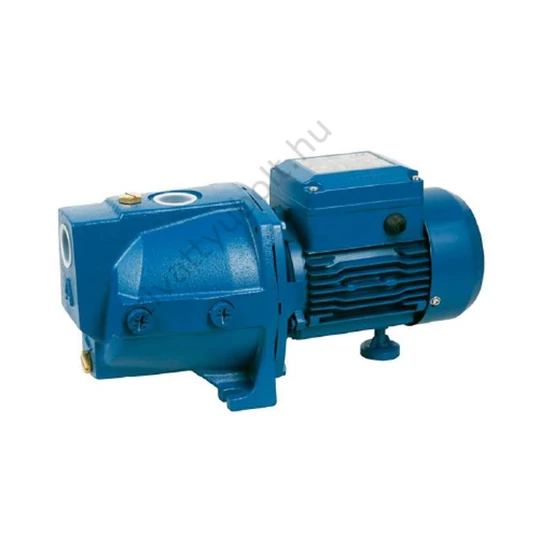 Aquastrong EJWm 60/41 kerti szivattyú